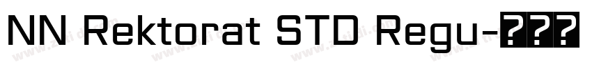 NN Rektorat STD Regu字体转换